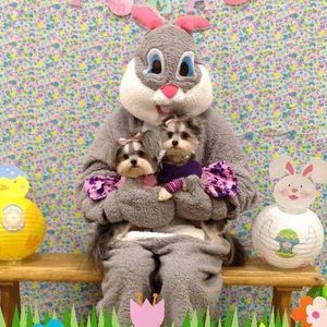 Meet your Posher, Wanda